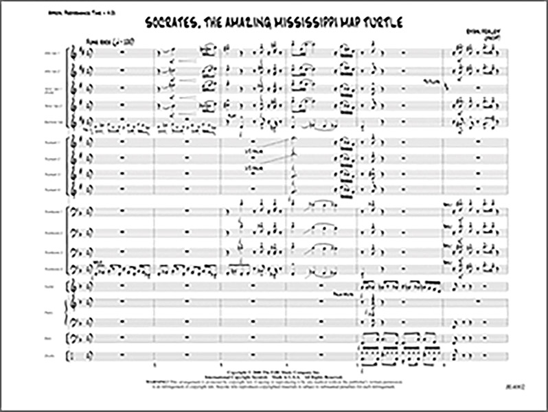 Socrates, The Amazing Mississippi Map Turtle